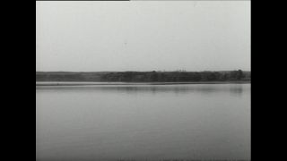 Link to Video | Paul Karl Lieberenz