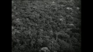 Link to Video | Paul Karl Lieberenz, Kamerun