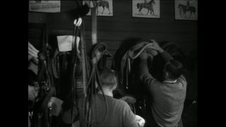 Link to Video | horse stud farm, Paul Karl Lieberenz, horse breeding, Equidae, Germany, 1950s, Bad Homburg vor der Höhe, Erlenhof Stud Farm