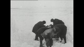 Link to Video | Paul Karl Lieberenz