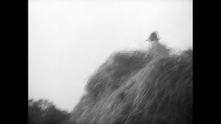 Link to Video | Paul Karl Lieberenz
