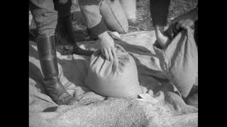 Link to Video | Paul Karl Lieberenz