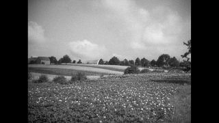 Link to Video | Paul Karl Lieberenz