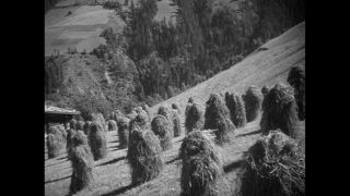 Link to Video | Paul Karl Lieberenz