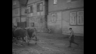 Link to Video | Paul Karl Lieberenz