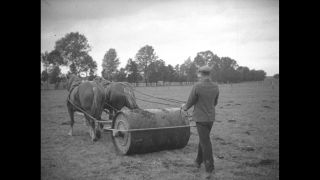 Link to Video | Paul Karl Lieberenz