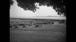 Link zum Video | Paul Lieberenz