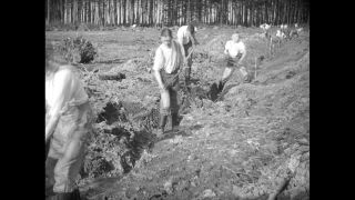 Link zum Video | Paul Lieberenz