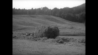 Link to Video | Paul Karl Lieberenz
