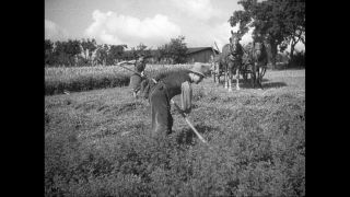 Link to Video | Paul Karl Lieberenz