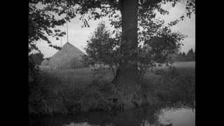 Link to Video | Paul Karl Lieberenz