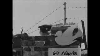 Link to Video | Paul Karl Lieberenz