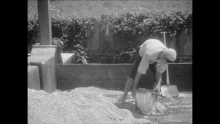 Link to Video | Paul Karl Lieberenz