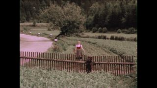 Link to Video | Paul Karl Lieberenz