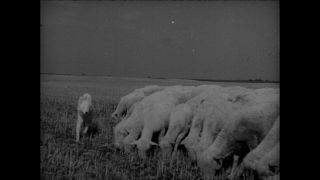 Link to Video | Paul Karl Lieberenz