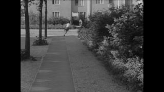 Link to Video | Paul Karl Lieberenz