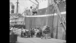 Link to Video | Paul Karl Lieberenz