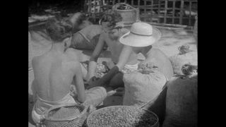 Link to Video | Paul Karl Lieberenz