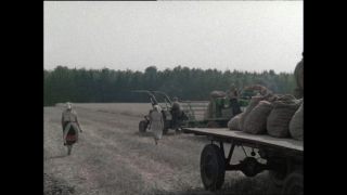 Link to Video | Paul Karl Lieberenz