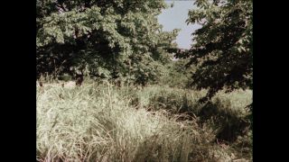 Link to Video | Paul Karl Lieberenz