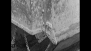 Link to Video | Paul Karl Lieberenz