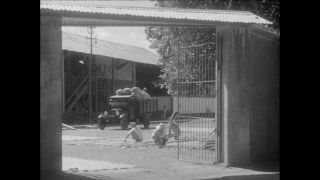 Link to Video | Paul Karl Lieberenz