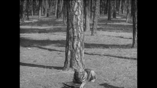 Link to Video | Paul Karl Lieberenz