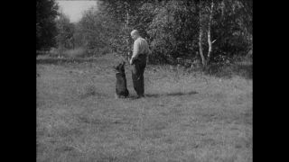Link to Video | Paul Karl Lieberenz