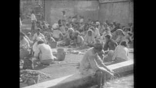 Link to Video | Paul Karl Lieberenz