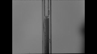 Link to Video | Paul Karl Lieberenz