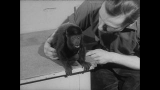 Link to Video | Paul Karl Lieberenz