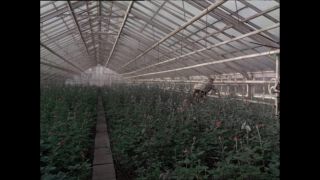 Link to Video | Paul Karl Lieberenz