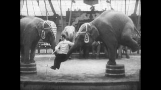 Link to Video | Paul Karl Lieberenz, Sarrasani