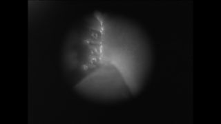 Link to Video | Paul Karl Lieberenz