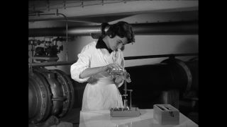 Link to Video | Paul Karl Lieberenz