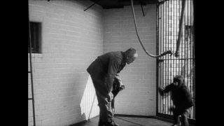 Link to Video | Paul Karl Lieberenz