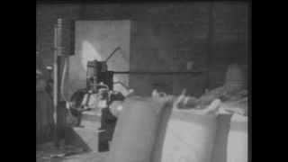 Link to Video | Paul Karl Lieberenz