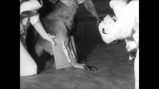 Link to Video | Paul Karl Lieberenz