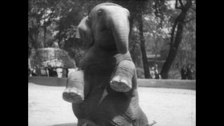 Link to Video | Paul Karl Lieberenz