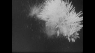 Link zum Video | Paul Lieberenz