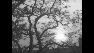 Link to Video | Paul Karl Lieberenz