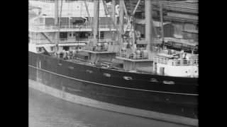 Link to Video | Paul Karl Lieberenz