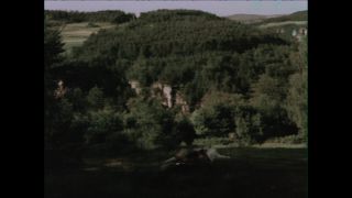 Link to Video | Paul Karl Lieberenz