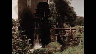 Link to Video | Paul Karl Lieberenz