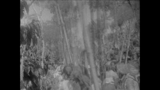 Link to Video | Paul Karl Lieberenz