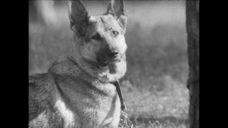 Link to Video | Paul Karl Lieberenz