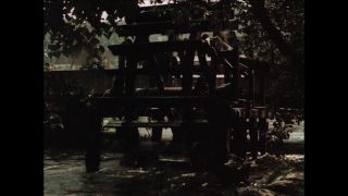 Link to Video | Paul Karl Lieberenz