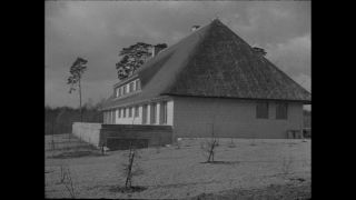 Link to Video | Paul Karl Lieberenz