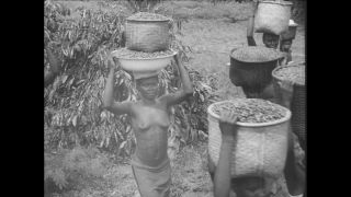 Link to Video | Paul Karl Lieberenz