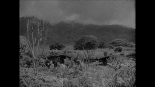 Link to Video | Paul Karl Lieberenz